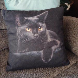 Pillows Artist Designed Kitty Pillows